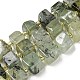 Natural Prehnite Beads Strands&nbsp;G-G053-B12-01C-1