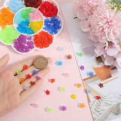 透明アクリルビーズキャップ1300色13個  5  - 花びらの花  艶消し  ミックスカラー  10~12x5~7mm  穴：1mm  100個/カラー&nbsp;TACR-SP0001-07