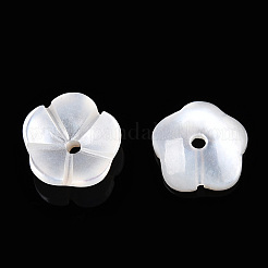 Natural White Shell Beads&nbsp;SSHEL-S260-053