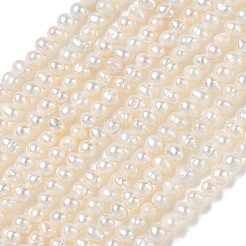 天然養殖淡水パールビーズ連売り  グレード2a++  ポテト  ベージュ  2~3mm  穴：0.1mm  約137~138個/連  14.96''（38センチメートル）&nbsp;PA-CBAC463-36
