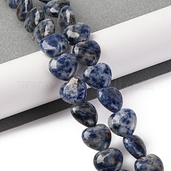 Natural Blue Spot Jasper Beads Strands&nbsp;G-I372-A13-02