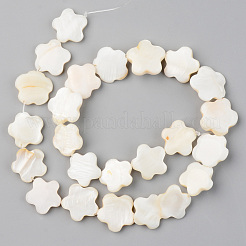 天然淡水シェルビーズ連売り  花  貝殻色  15~17x15~17x2~4mm  穴：0.8mm  約24個/連  14.56インチ（37cm）&nbsp;X-SHEL-S276-84