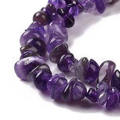 Natural Amethyst Chip Bead Strands&nbsp;G-M205-58