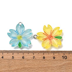 Transparent Resin Pendants&nbsp;RESI-A046-05H