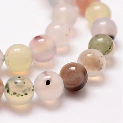 Natural Dendritic Agate Bead Strands&nbsp;G-G880-01-8mm