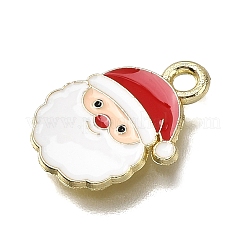 Alloy Enamel Pendants&nbsp;FIND-Z094-03G-02