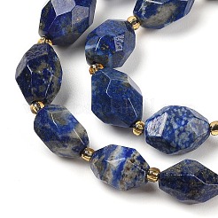 Natural Lapis Lazuli Beads Strands&nbsp;G-P541-A01-05
