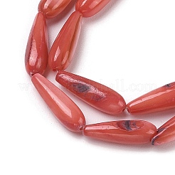 Natural Freshwater Shell Beads Strands&nbsp;SHEL-A004-03F