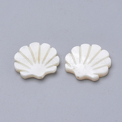 Natural Freshwater Shell Beads&nbsp;SHEL-T007-03