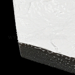 Resin Jewelry Plate&nbsp;AJEW-C028-02D