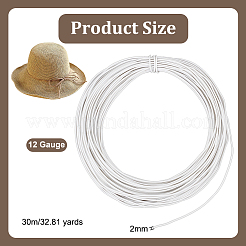 Round Iron Wire&nbsp;FIND-WH0152-648B