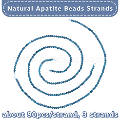 3 Strands Natural Apatite Beads Strands&nbsp;G-OC0003-01