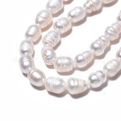 天然養殖淡水パールビーズ連売り  ライス  貝殻色  8.5~12x6.5~7.5mm  穴：0.8mm  約32~39個/連  13.82インチ〜14.37インチ（35.1cm〜36.5cm）&nbsp;X-PEAR-N012-07A