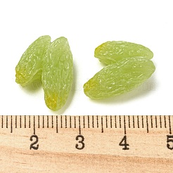 Fruit Opaque Resin Decoden Cabochons&nbsp;RESI-H156-01-07
