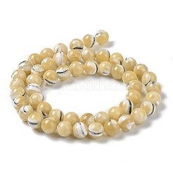 Natural Trochus Shell Beads Strands&nbsp;BSHE-P033-03A