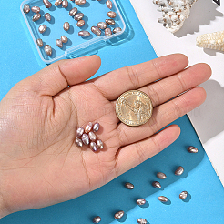 1 Strand Natural Cultured Freshwater Pearl Beads Strands&nbsp;PEAR-SC0001-44