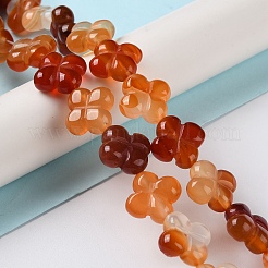 天然石カーネリアンビーズ連売り  花  13~14x13~14x5~5.5mm  穴：1.2mm  約15個/連  7.95''（20.2センチメートル）&nbsp;G-M418-D02-01