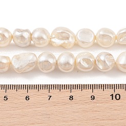 Electroplated Shell Pearl Beads Strands&nbsp;BSHE-C006-01C
