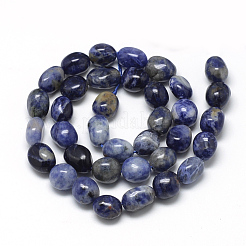 天然石ソーダライトビーズ連売り  ナゲット  8~15x7~12x4~12mm  穴：1mm  約30~45個/連  15.7インチ&nbsp;G-R445-8x10-04