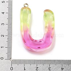 樹脂チャーム  鉄輪のパーツ  a～zの文字  U字  40x28x7.5mm  穴：2mm&nbsp;FIND-Q107-01U-03