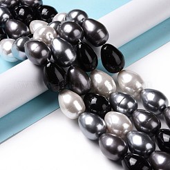 シェルパールビーズ連売り  グレードA  バレル  ブラック  23x17mm  穴：1mm  約17個/連  15.15インチ&nbsp;BSHE-L034-04C