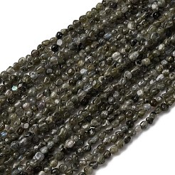 Natural Labradorite Beads Strands&nbsp;G-I389-A35-01A