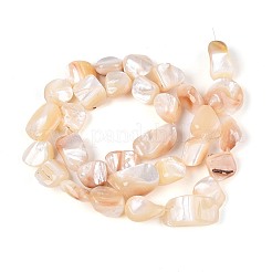 天然石シーシェルビーズ連売り  ナゲット  小麦  9~21x7.5~24x3~12mm  穴：0.5~0.7mm  約28~34個/連  14.57~15.35インチ（37~39cm）&nbsp;SSHEL-N041-02A