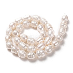 天然養殖淡水パールビーズ連売り  ライス  ビスク  11~12x9~10mm  穴：0.8mm  約30個/連  14.17インチ（36cm）&nbsp;PEAR-L033-85-01