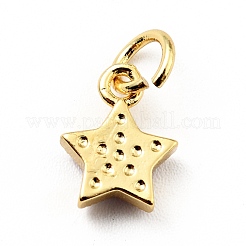 Rack Plating Brass Enamel Charms&nbsp;KK-G387-06G