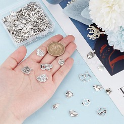 150Pcs 15 Styles Tibetan Style Alloy Charms&nbsp;FIND-AR0004-94