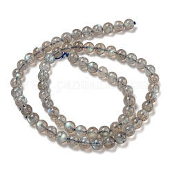 Natural Labradorite Beads Strands&nbsp;G-F602-04A