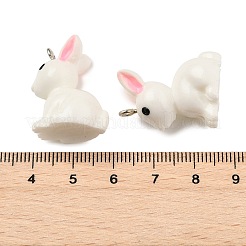 Resin Pendants&nbsp;RESI-S356-53