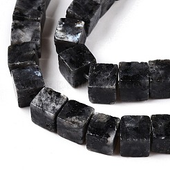 Natural Larvikite Beads Strands&nbsp;G-T139-6x6-25A