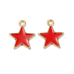 Alloy Enamel Pendants&nbsp;ENAM-C005-01G-06