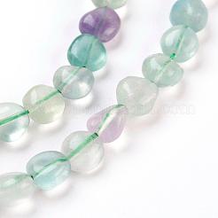 Natural Fluorite Beads Strands&nbsp;G-F575-18A