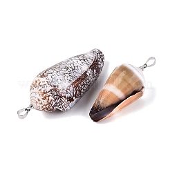 Brass & Natural Cone Shell Pendants&nbsp;SHEL-Q029-20-02P