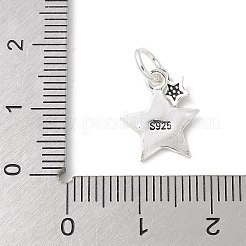 S925 スターリングシルバーペンダント  エナメル  銀  9x6.5x1.4mm&nbsp;STER-H115-04A-S
