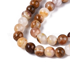 Natural Wood Lace Stone Wooden Jasper Beads Strands&nbsp;G-B128-A04-01