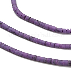 Dyed Synthetic Turquoise Beads Strands&nbsp;G-P594-01A-03