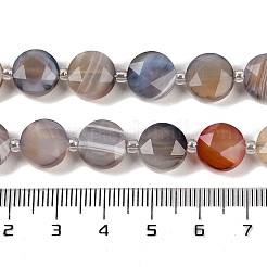Natural Botswana Agate Beads Strands&nbsp;G-C116-A65-01