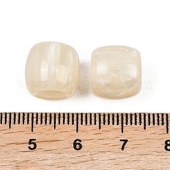 不透明樹脂ヨーロッパビーズ  コラム大穴ビーズ  古いレース  12x10mm  穴：4.8mm&nbsp;RESI-C070-03