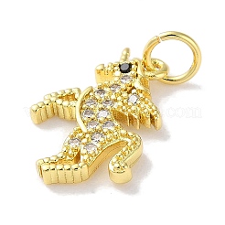 Rack Plating Brass Micro Pave Cubic Zirconia Pendants&nbsp;KK-Z039-24G