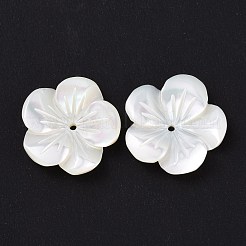 Natural Trochid Shell/Trochus Shell Beads&nbsp;SHEL-P014-02D