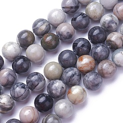 Natural Polychrome Jasper/Picasso Stone/Picasso Jasper Beads Strands&nbsp;G-P424-C-10mm