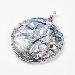 Abalone Shell/Paua Shell Big Pendants&nbsp;KK-P118-01P