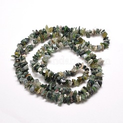天然苔瑪瑙チップビーズ連売り  5~8x5~8mm  穴：1mm  約31.5インチ&nbsp;X-G-M205-45