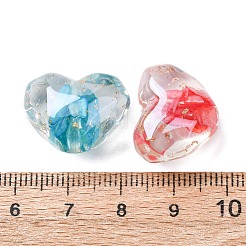 Transparent Resin & Natural Shell Beads&nbsp;RESI-B039-02B