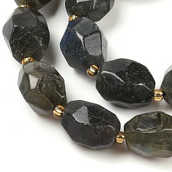 Natural Labradorite Beads Strands&nbsp;G-P541-A01-08