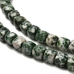 Natural Green Spot Jasper Beads Strands&nbsp;G-H078-C27-01