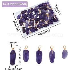 50個の天然アメジストペンダント  ゴールデントーンの銅線でツイスト  チップ  17~29x8~10x5.5~9mm  穴：2.5~3.2mm&nbsp;FIND-FH0005-16